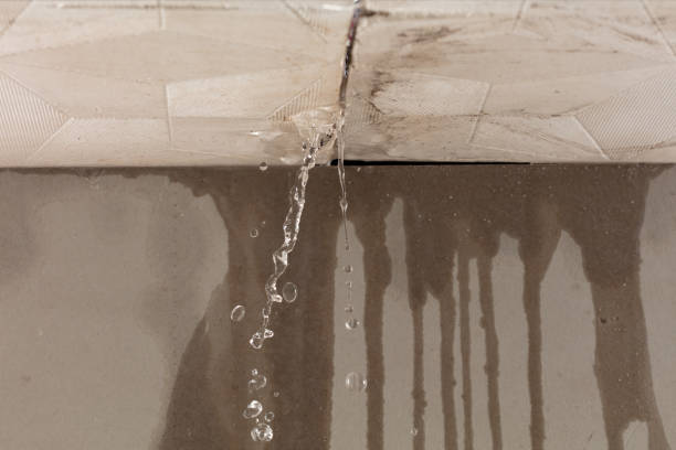 Professional Sewage Cleanup technician working in Albany, LA